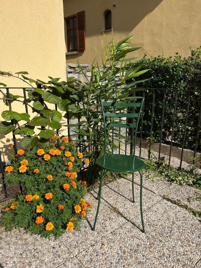 Lakeview Lakecomo, Cipresso 7, 4Seasons, Terrace, 30M To Lake! By Stayhere-Lakecomo Acquaseria Екстер'єр фото